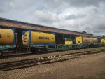 BRAD PCT-080152-6